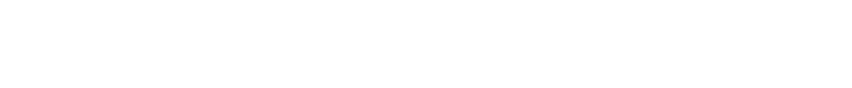Ashley Madison Logo